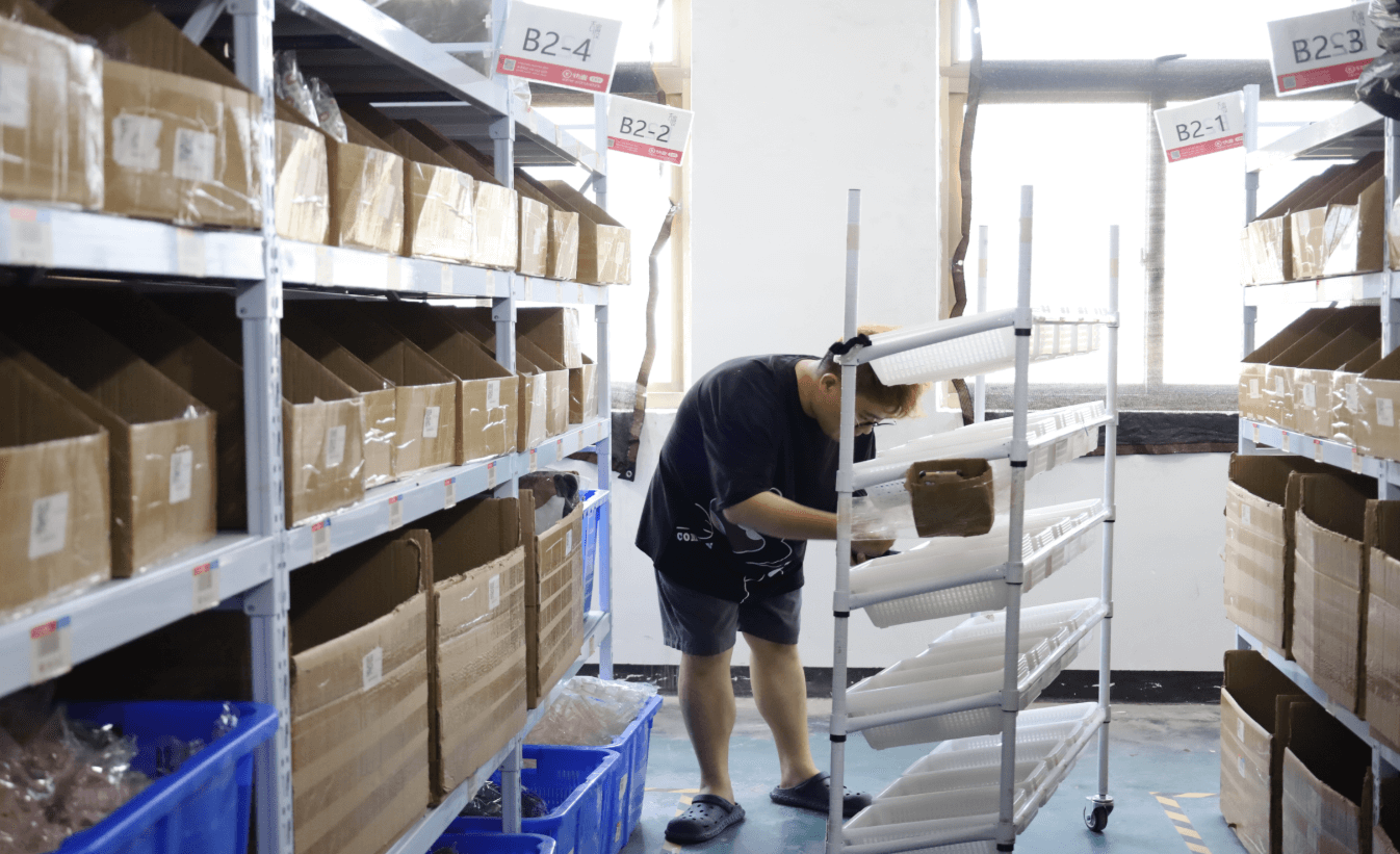 Home – CAFFTI Jewelry Warehouse Image 2